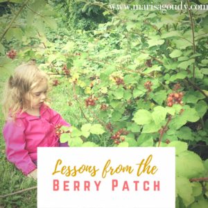 Lessons from the Berry Patch by Marisa Goudy #365StrongStories 144