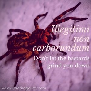 Illegitimi non carborundum (don't let the bastards grind you down) | Marisa Goudy | Storytelling and Writing Coach