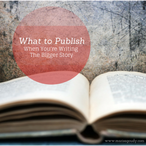 what to publish when writing the bigger story