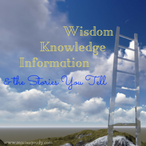 Wisdom Knowledge Information Stories