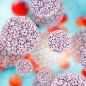 A HPV-vel kapcsolatos rákok hímeknél. Fresh articles