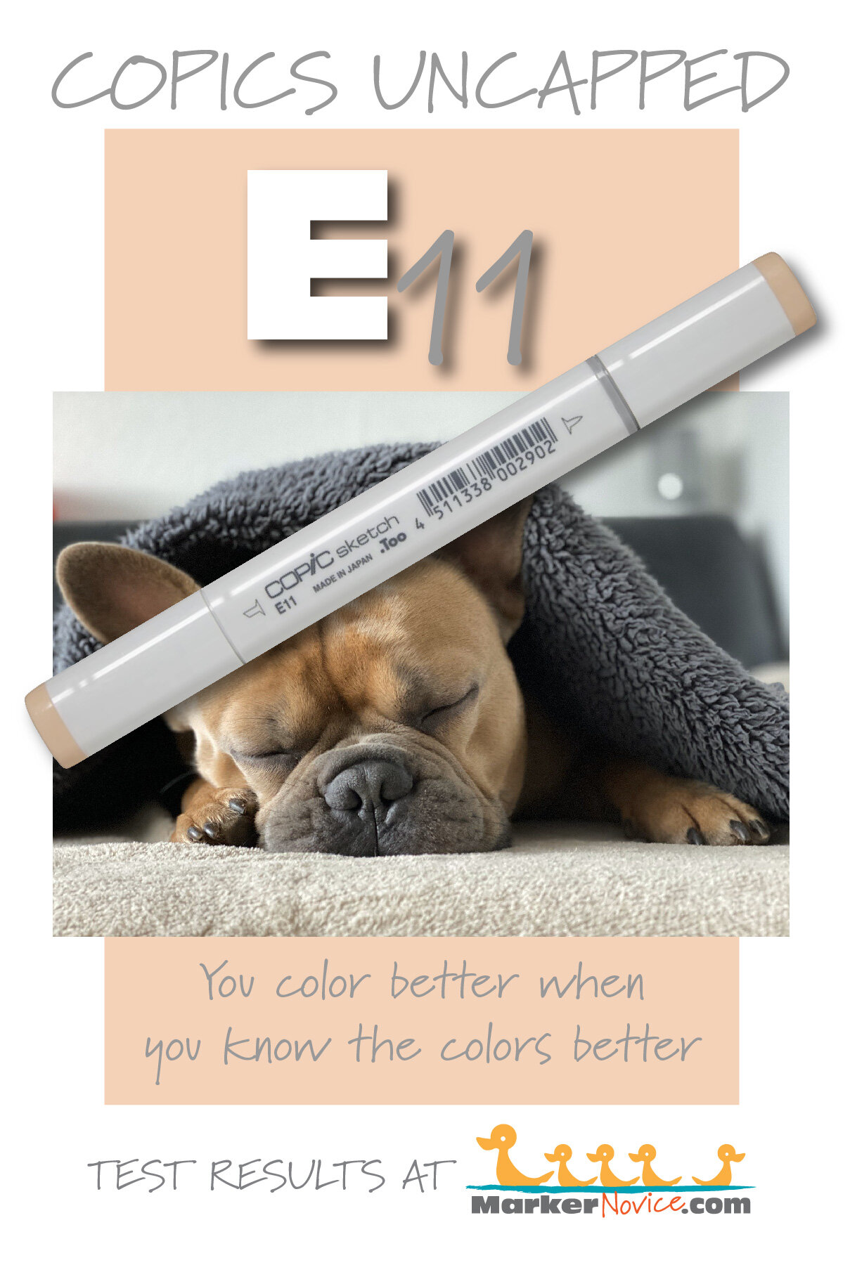 What Color Light Helps Dogs Sleep 