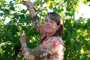 Serendipity Winery owner Judy Kingston tends to her Naramata vineyard