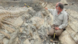 La cola artículada del hadrosaurio y el brazo señalador de René Hernández. (Tomada del video del INAH).