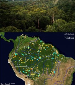 Arriba: Dosel de la selva amazónica cerca de Manaus, Brasil (Wikimedia Commons). Abajo: Mapa del artículo original que señala los puntos de muestreo usados en el estudio.