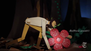 Escena de "La vida animada de A.R. Wallace", una animación muy completa que celebra la vida de este gran naturalista (New York Times).