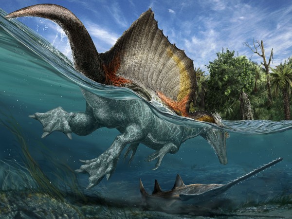 Spinosaurus: el dinosaurio carnívoro más grande que, por si hiciera falta,  también nadaba. — Más Ciencia por México