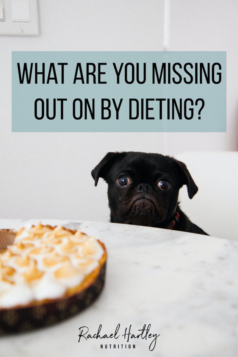 What Are You Missing Out On By Dieting? — Registered Dietitian Columbia SC