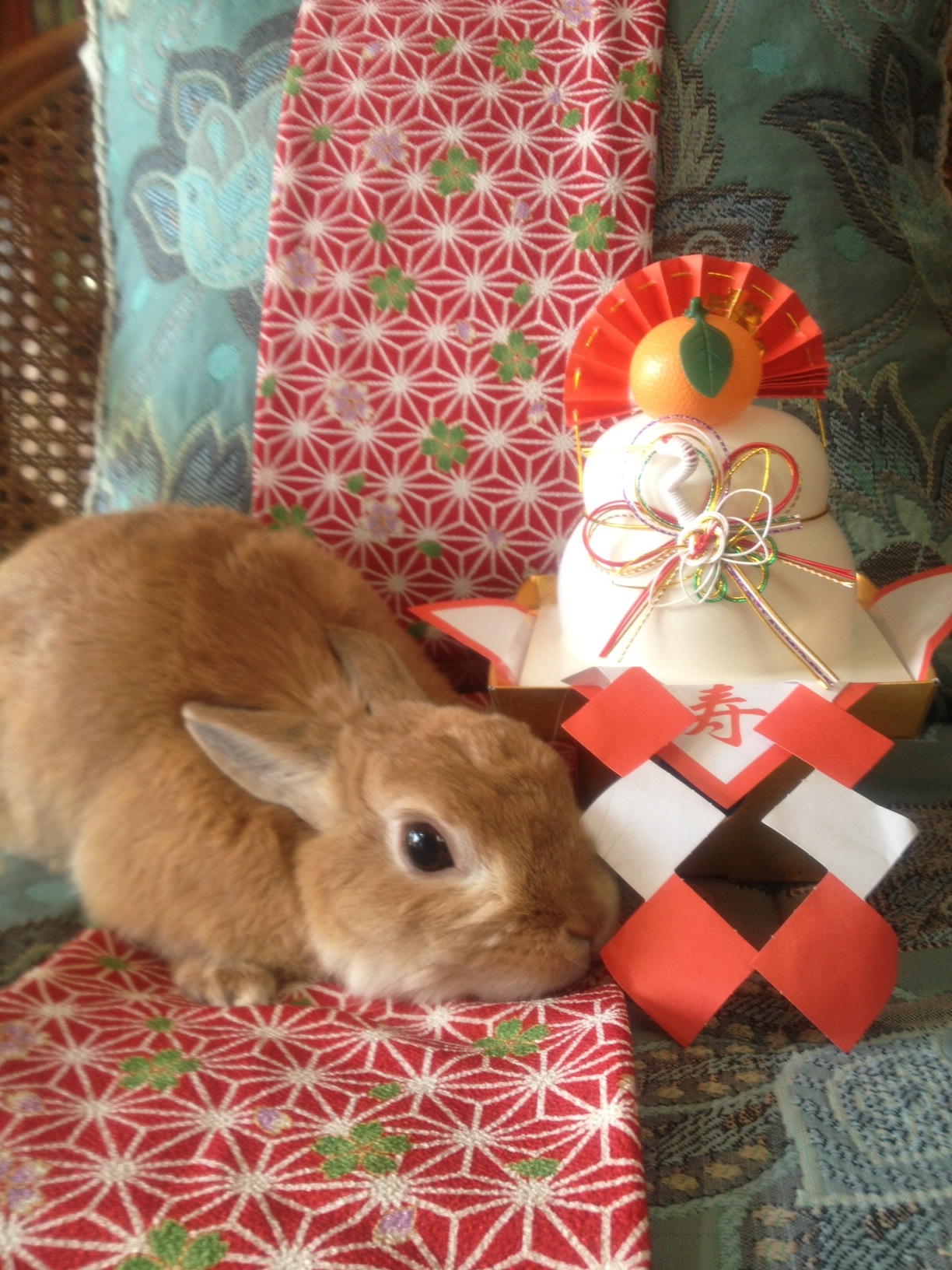 Bunny Celebrates the New Year in Japan with Kagami Mochi
