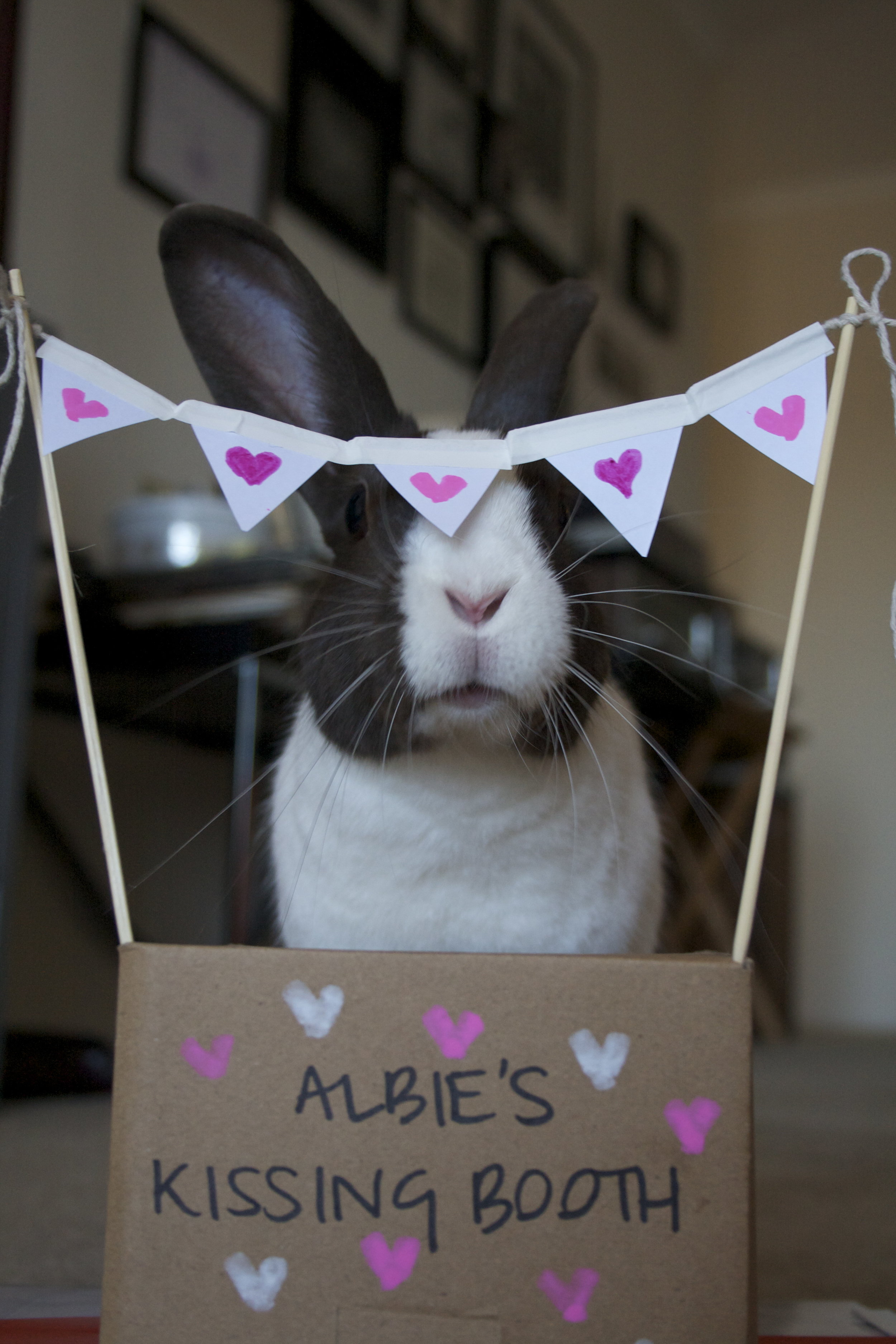 Bunny's Kissing Booth Is Open for Business!