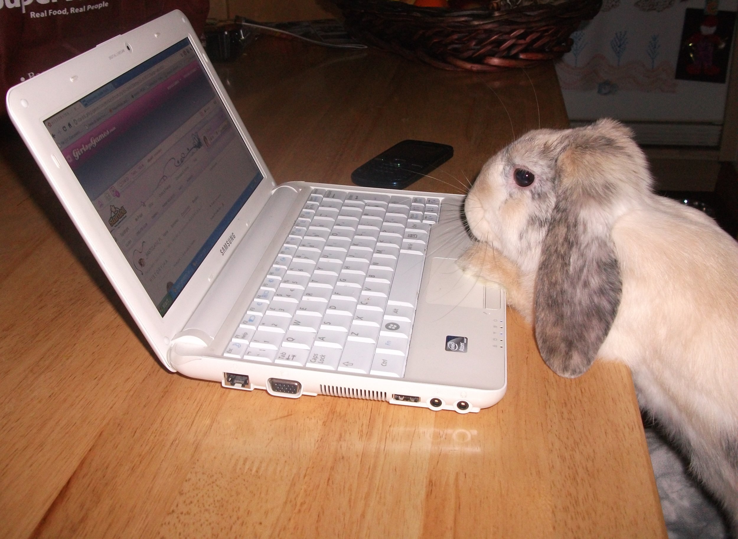 Hmm... Now, How Can I Order Carrots on This Thing?