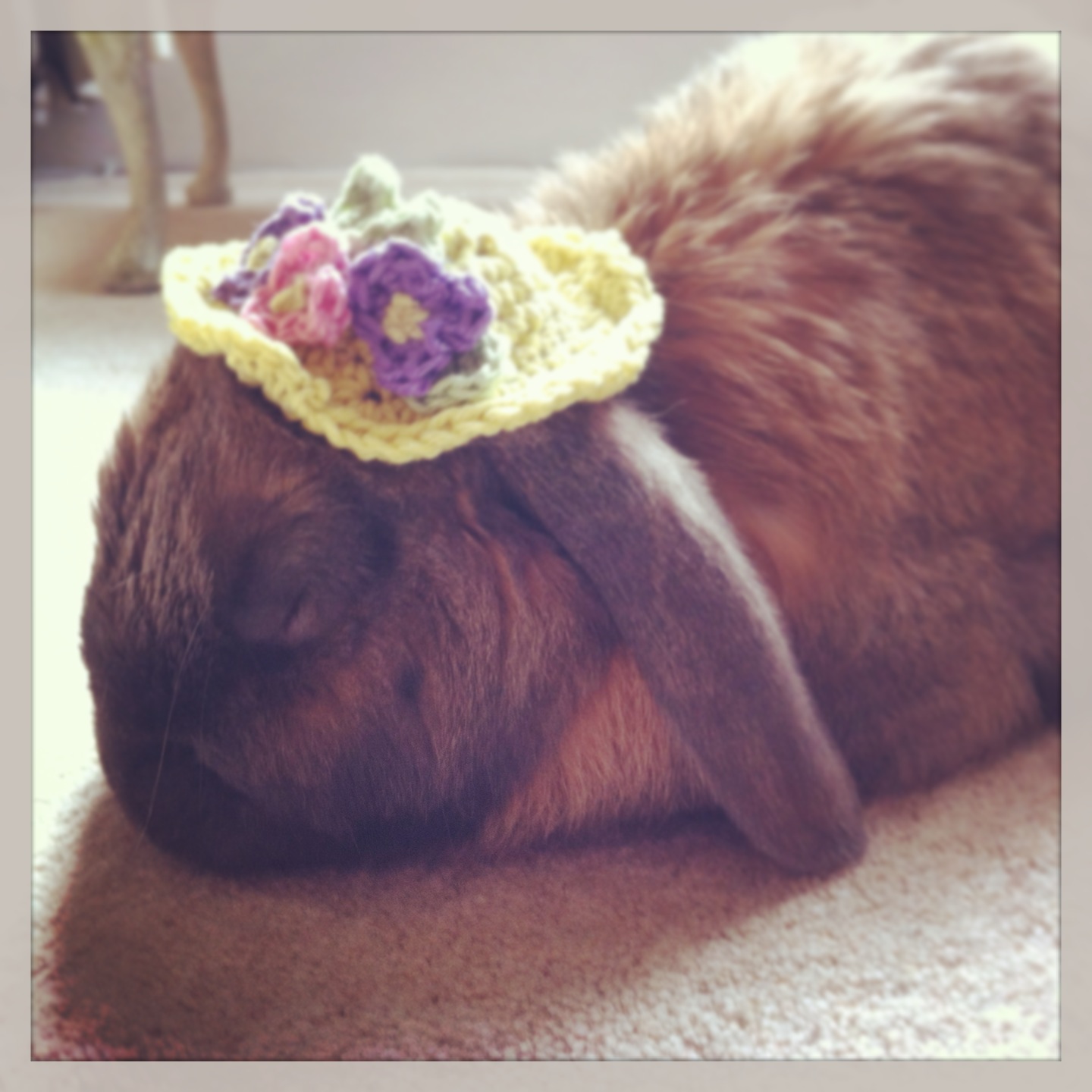 Bunny Falls Asleep in His Easter Hat After a Long Day