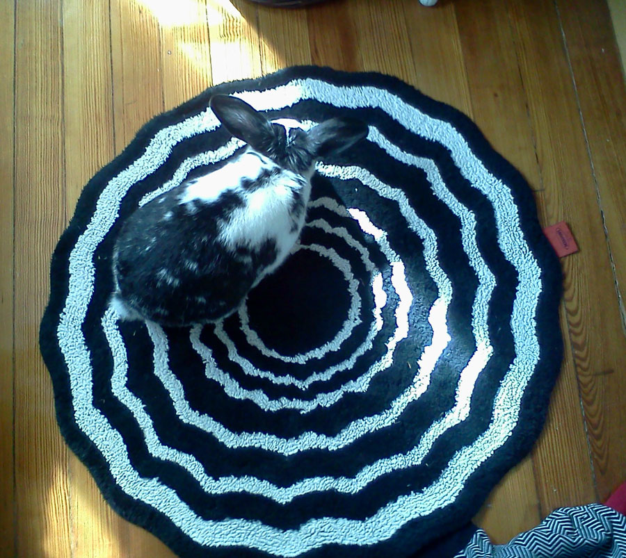 Bunny's Favorite Rug Looks Like the Entrance to a Rabbit Hole