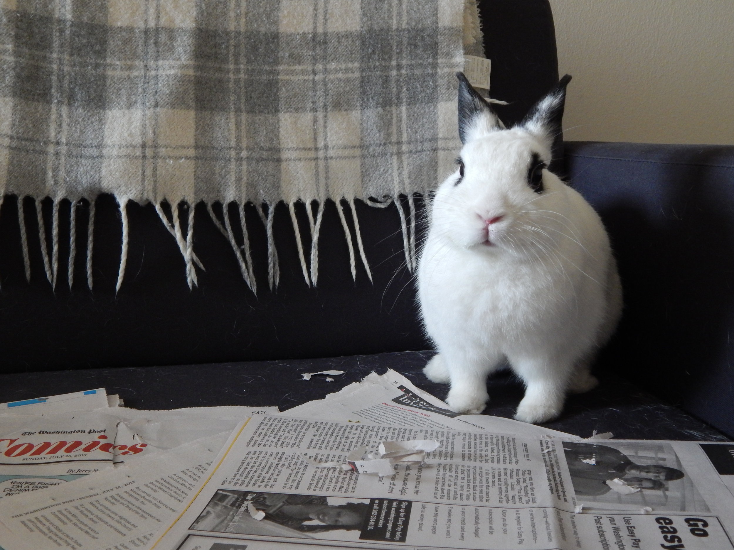 Oh, You Wanted to Read the Paper Before I Shred It? Hurry Up - The Clock Is Ticking!