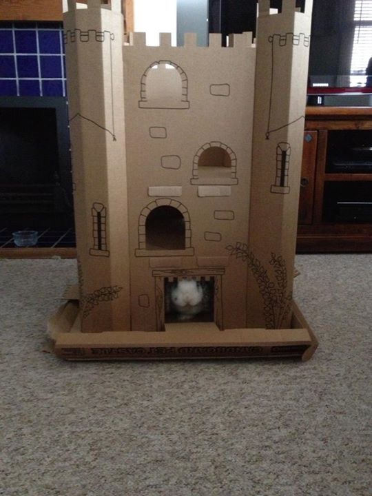 Who Approaches Bunny's Castle? 
