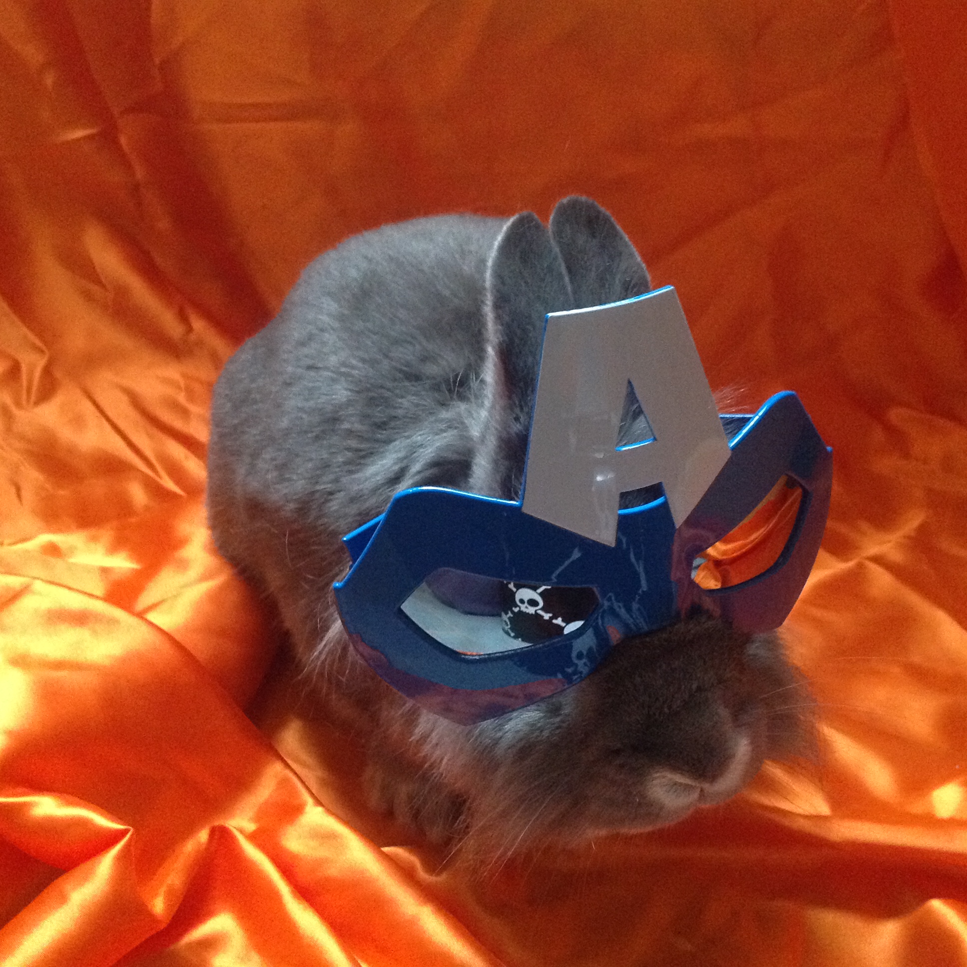 The Daily Bunny's Halloween 2013 Mega-Post! 15