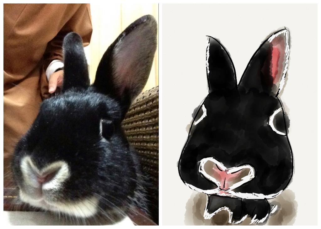 Bunny Sits for Her Portrait to be Painted