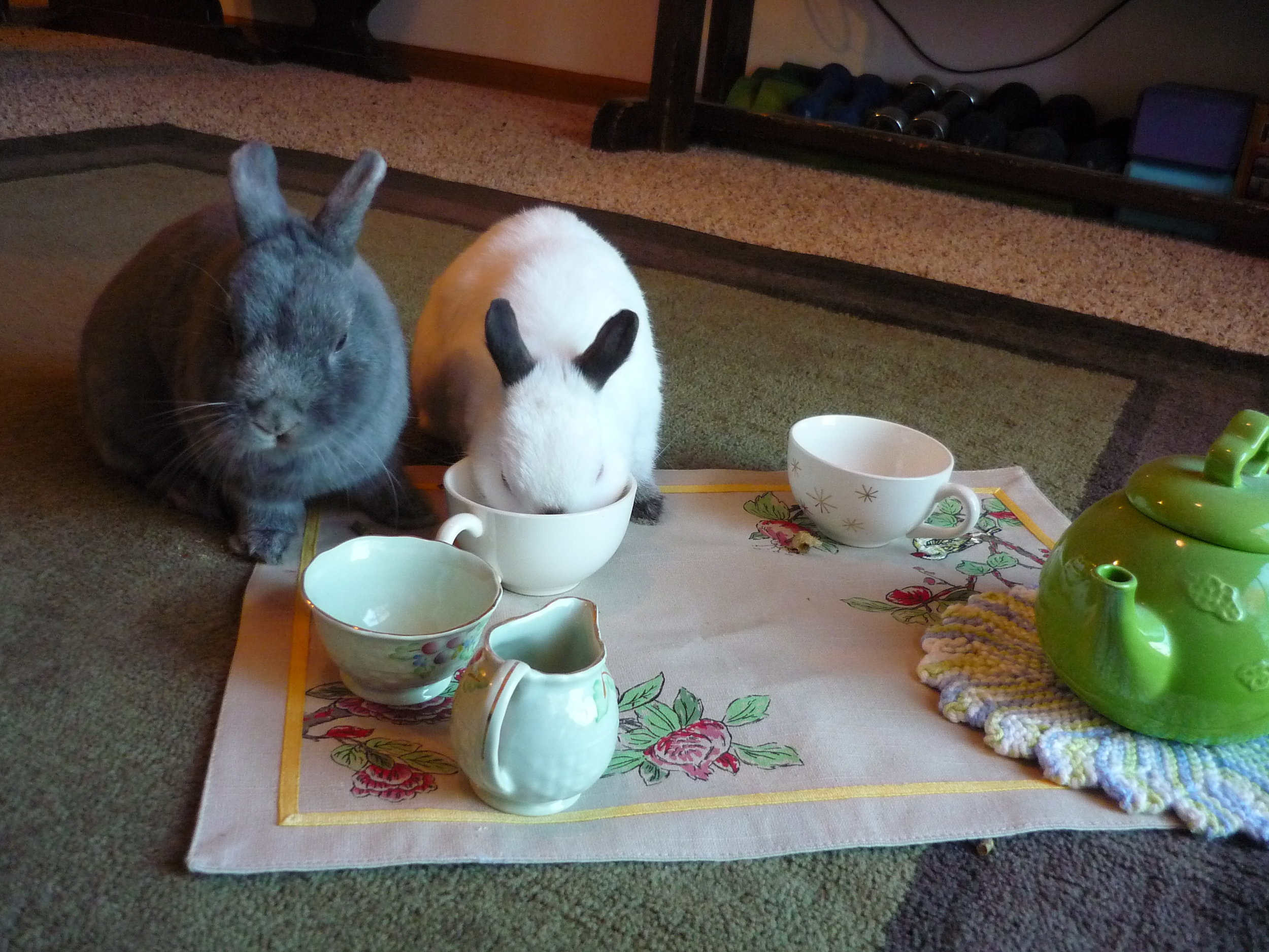Bunnies Have a Tea Party 2