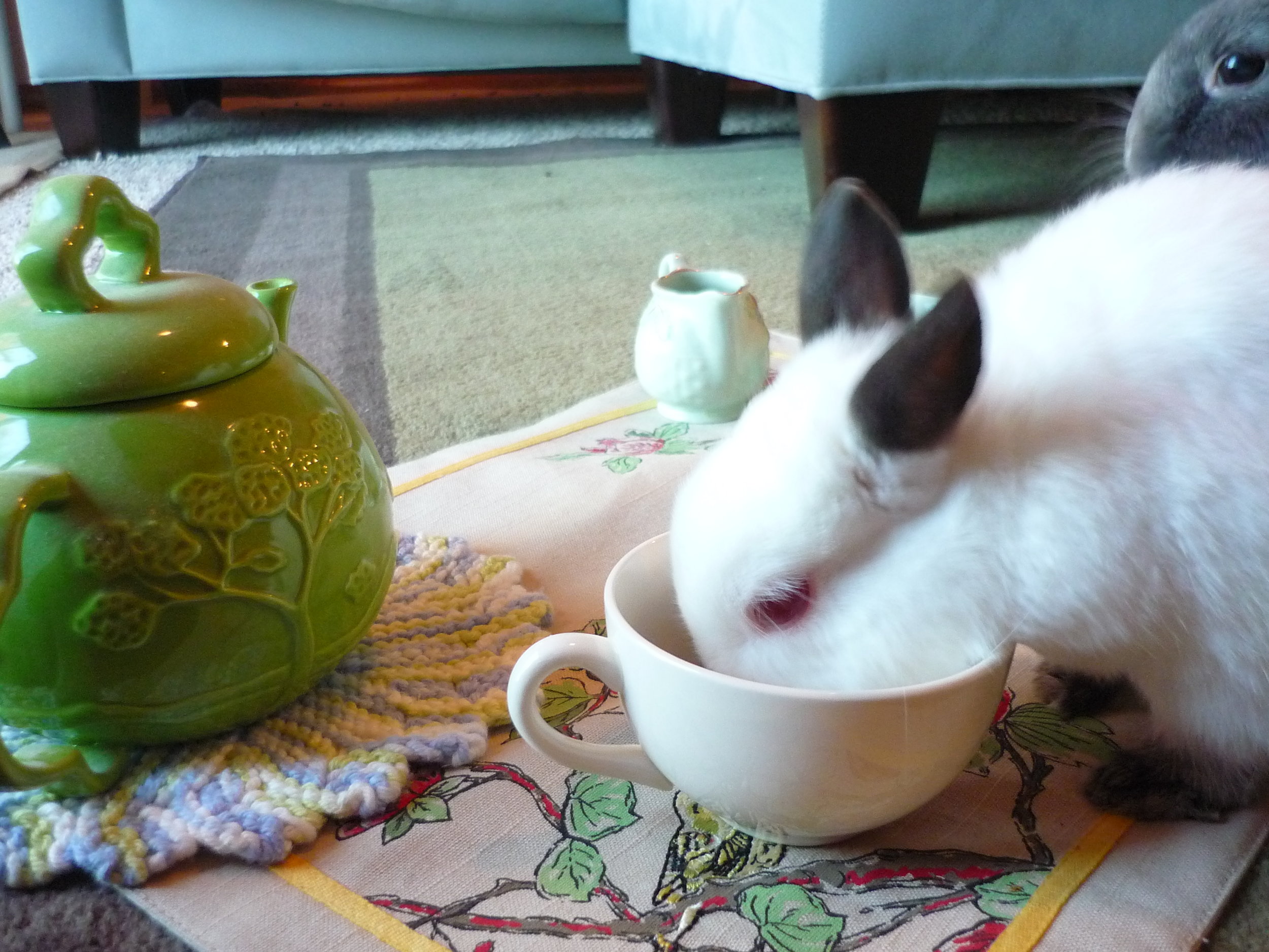 Bunnies Have a Tea Party 4