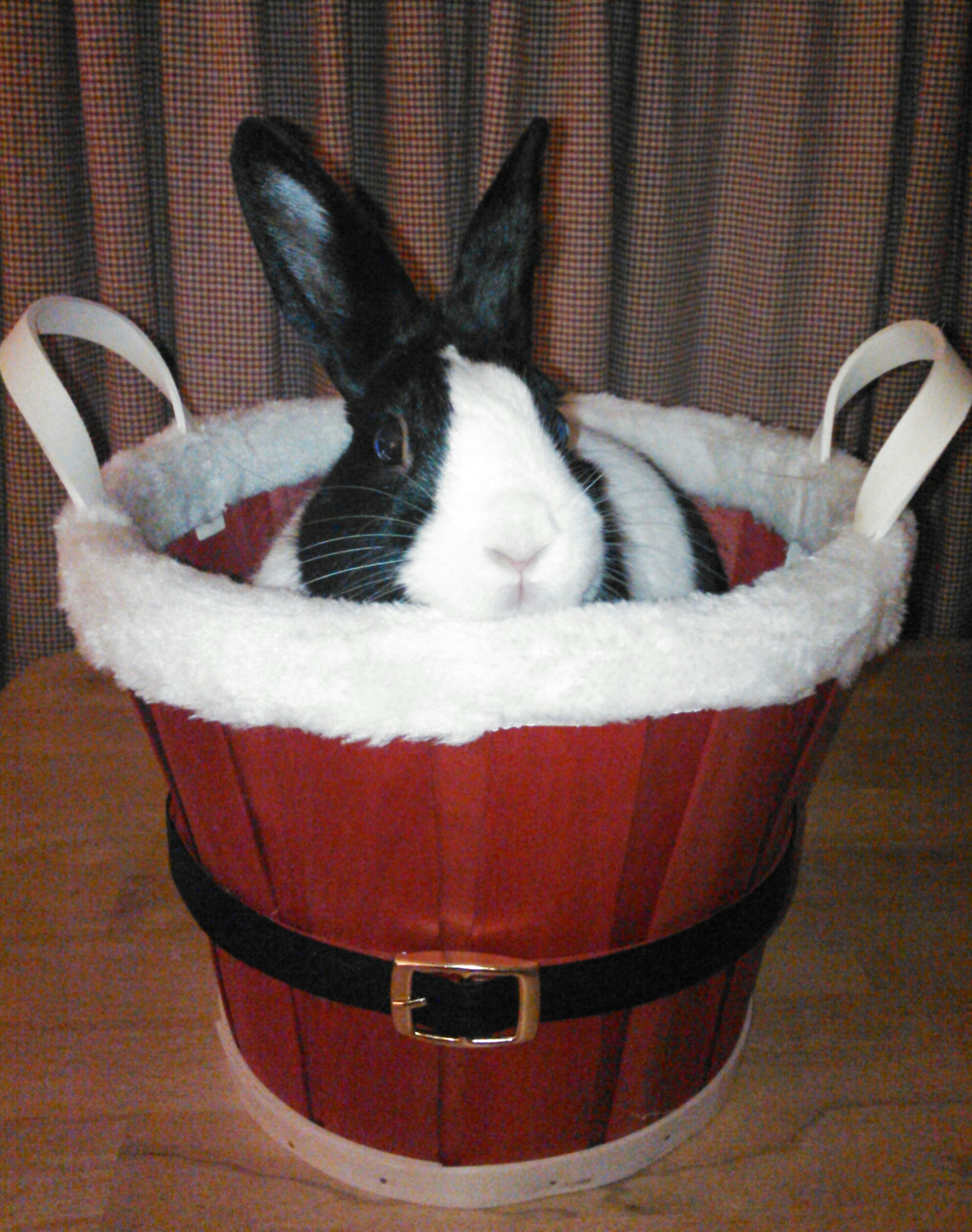 Bunny Says This Basket Is Perfect for Holiday Treats - Fill It Up!