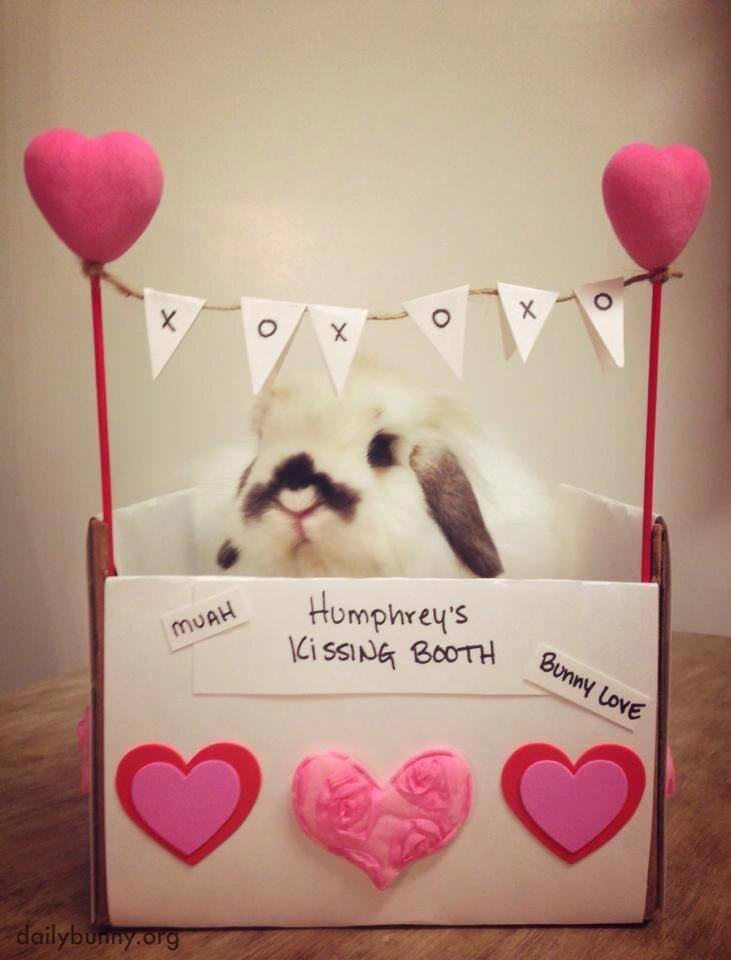 Make Sure You Bring a Treat for Bunny at His Kissing Booth!