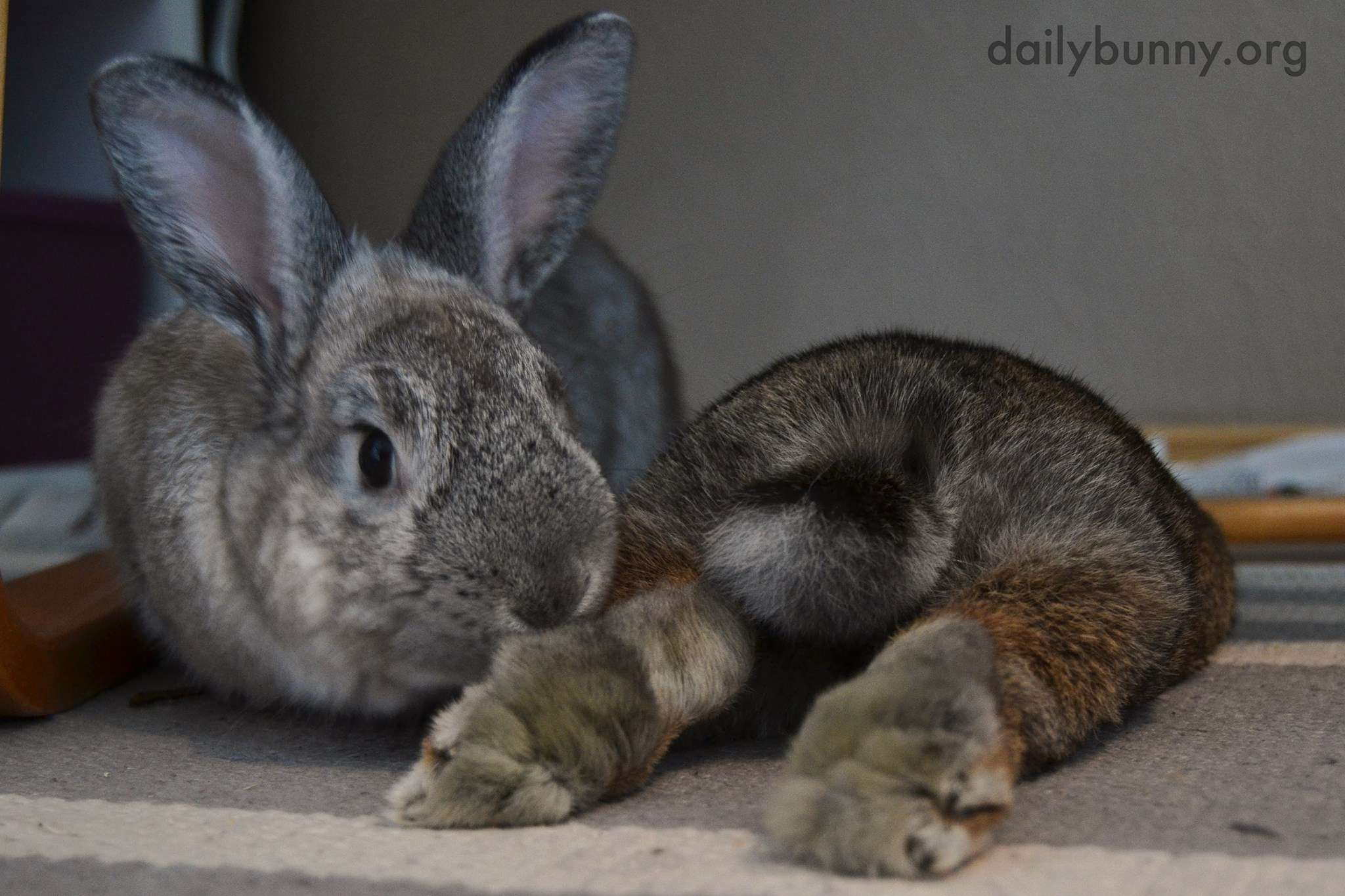Your Feet Smell Good - Have You Been Stepping on the Parsley Again?