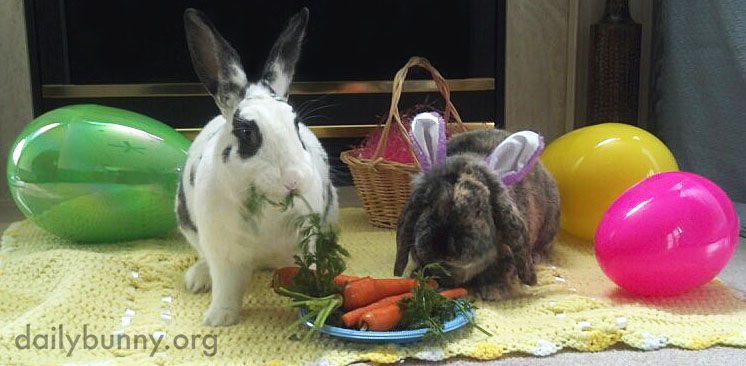 The Daily Bunny's Easter 2014 Mega-Post! 6