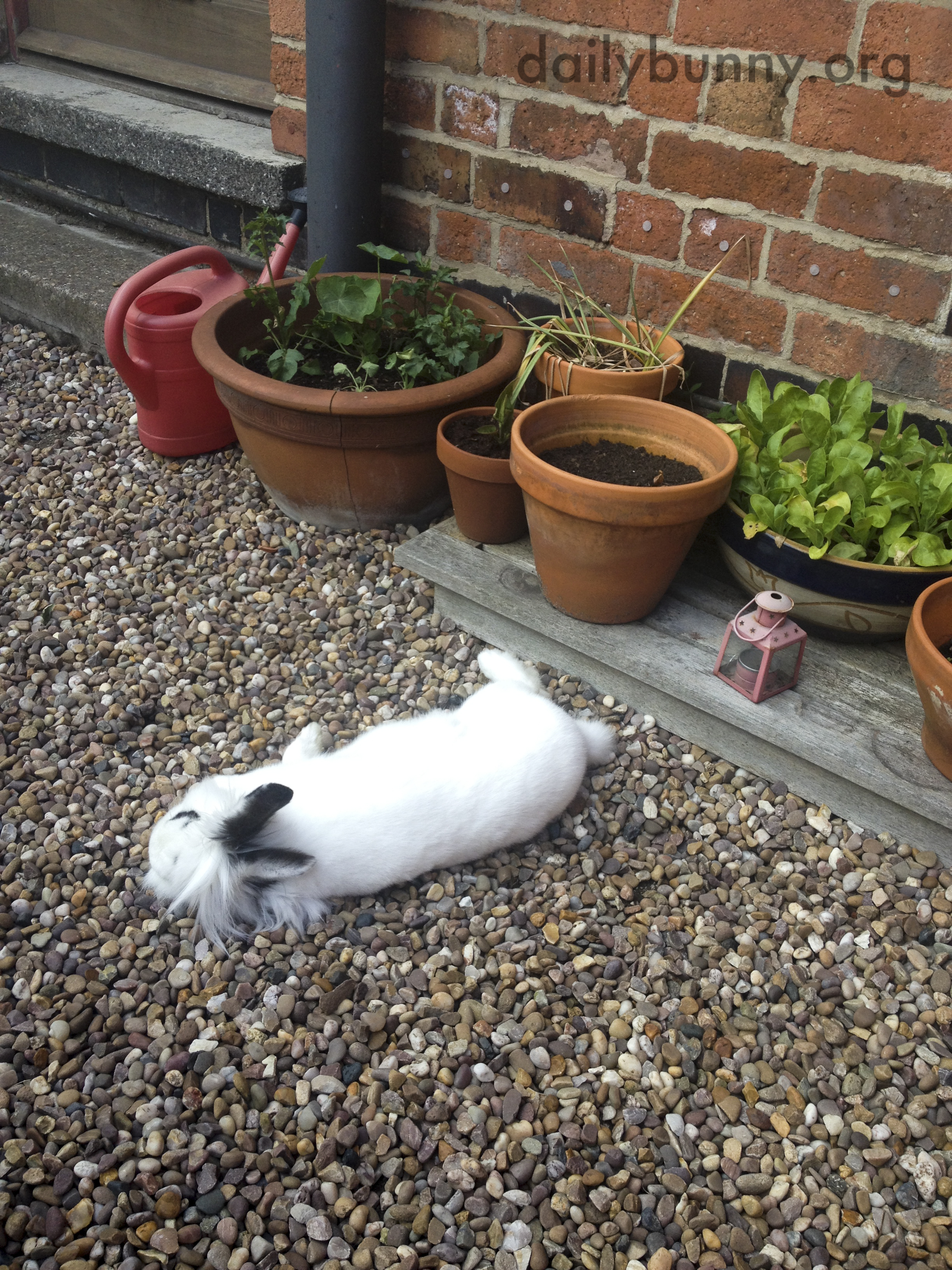 Guarding the Plants Is Just Exhausting! 3