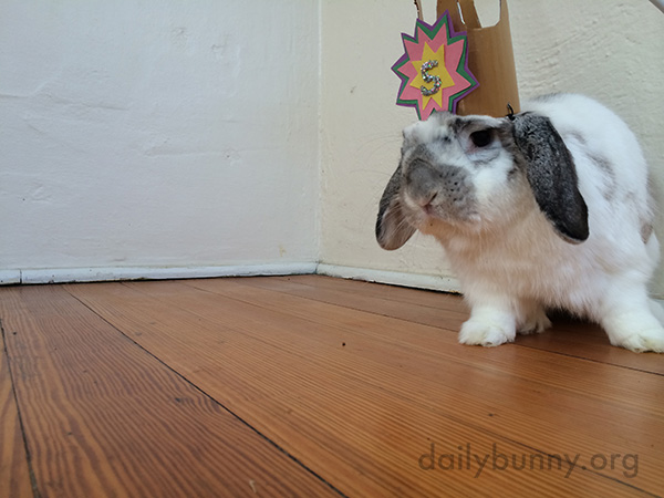 Birthday Bunny Gets a Birthday Crown 2