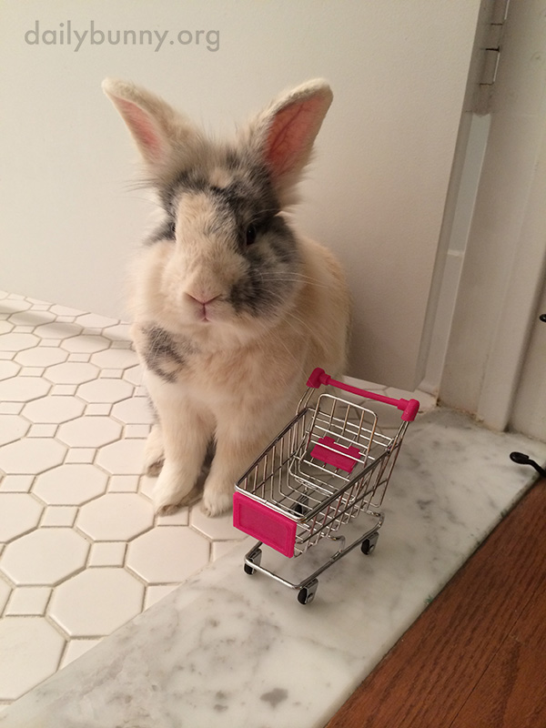 Bunny Starts His Shopping Trip with an Empty Cart, But Soon Fills It with Tiny Carrots 1