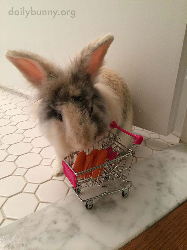 Bunny Starts His Shopping Trip with an Empty Cart, But Soon Fills It with Tiny Carrots 2