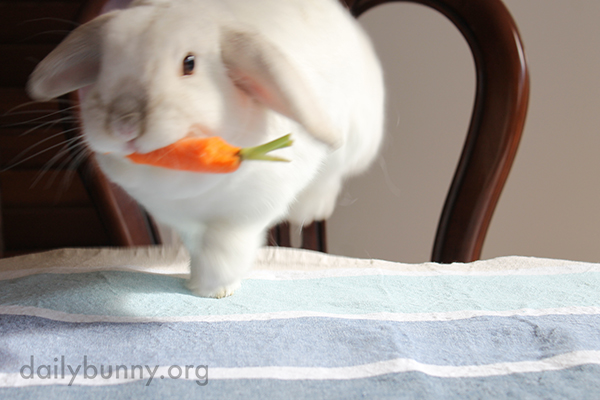 Bunny Runs Off with a Carrot 3