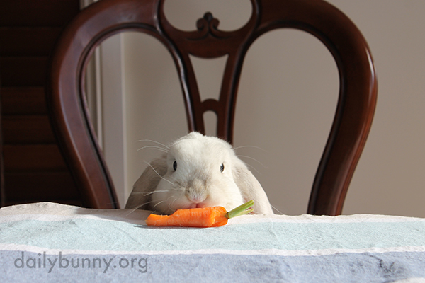 Bunny Runs Off with a Carrot 2