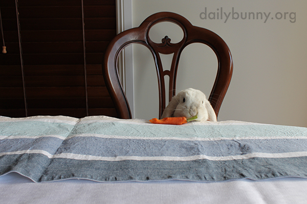 Bunny Runs Off with a Carrot 1