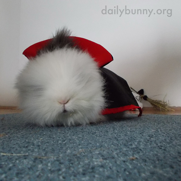 The Daily Bunny’s Halloween 2014 Mega-Post - Part Two! 1