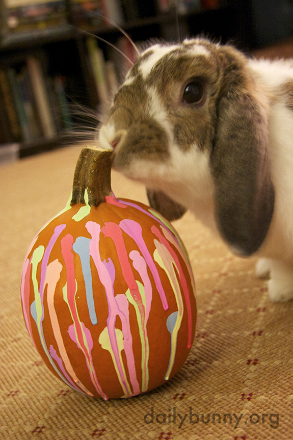 The Daily Bunny’s Halloween 2014 Mega-Post - Part Two! 2