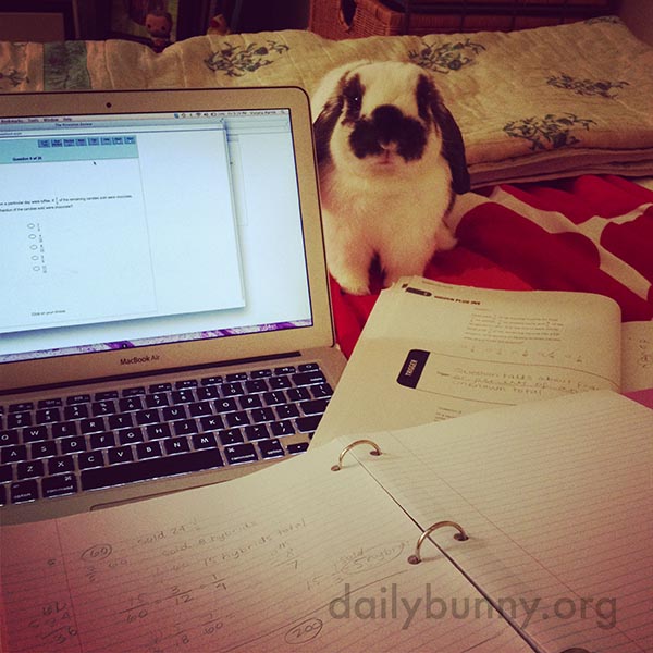 Are You Almost Done with Homework Yet, Human?