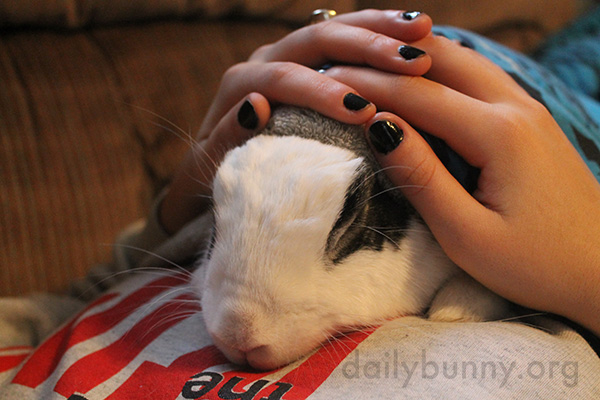 Bunny Is So Relaxed During Cuddle Time with Human