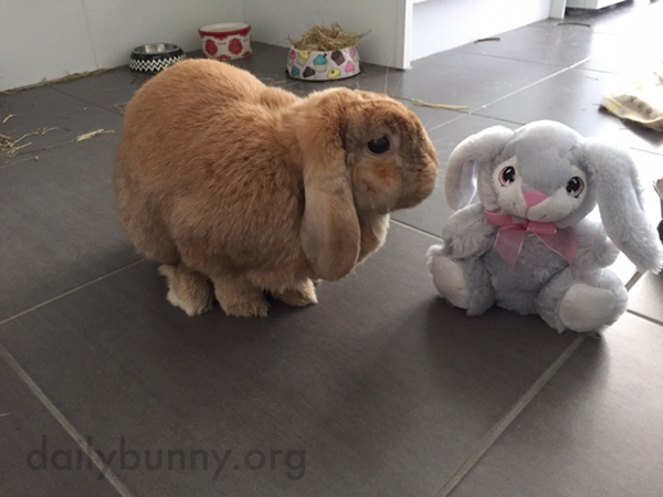 It's the Daily Bunny's Easter 2015 Mega-Post, Part Two! 2