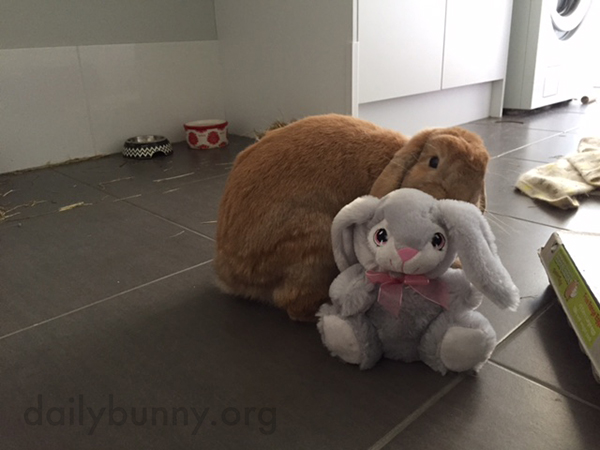 It's the Daily Bunny's Easter 2015 Mega-Post, Part Two! 3
