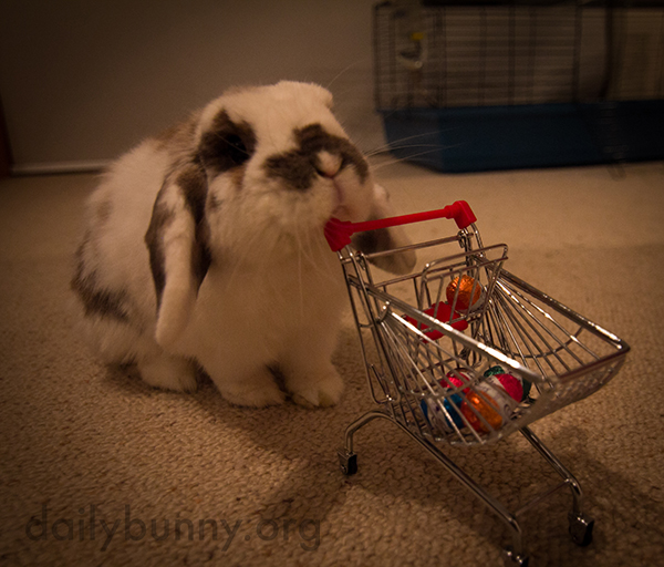 It's the Daily Bunny's Easter 2015 Mega-Post, Part Two! 4