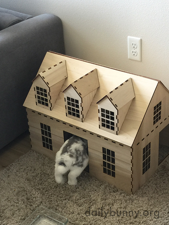 Bunny Enters Her House within a House