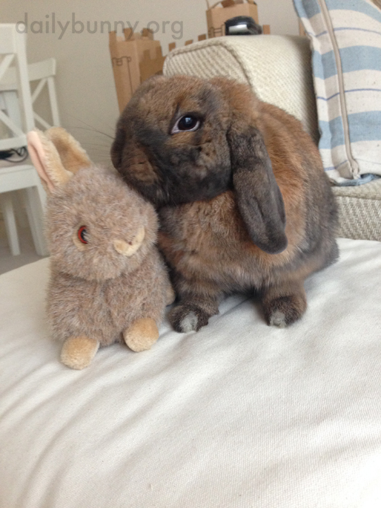 Bunny Gives Her Stuffed Friend a Little Kiss
