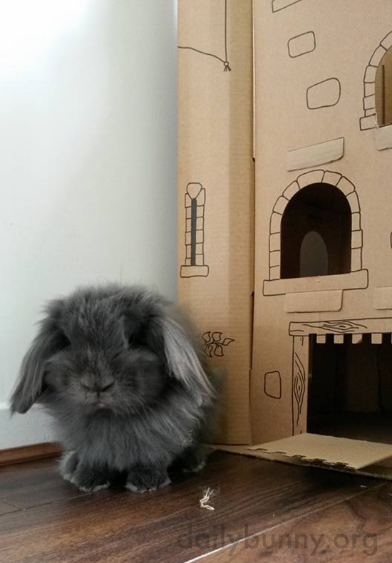 Bunny Stands Guard at His Castle's Entrance