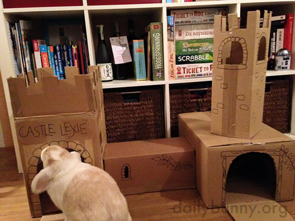 A Bunny's Castle Is Her Castle 2