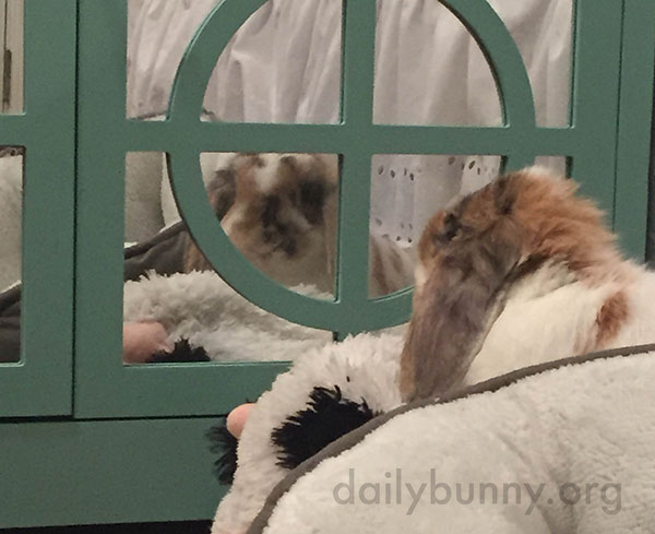 Bunny Notices Herself in the Mirror 2