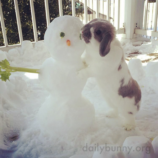 Bunny Meets a Very Delicious Snowman