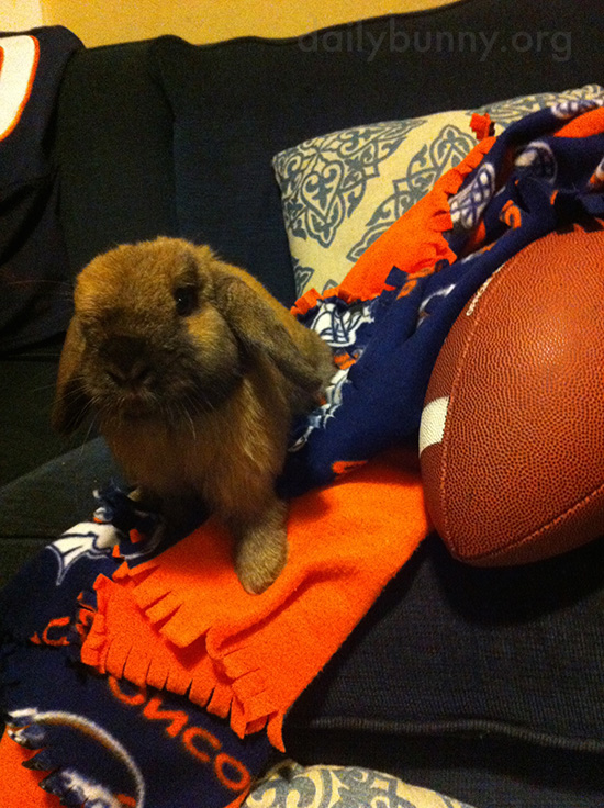 Bunny's Ready to Root on Her Team in Today's Game 1