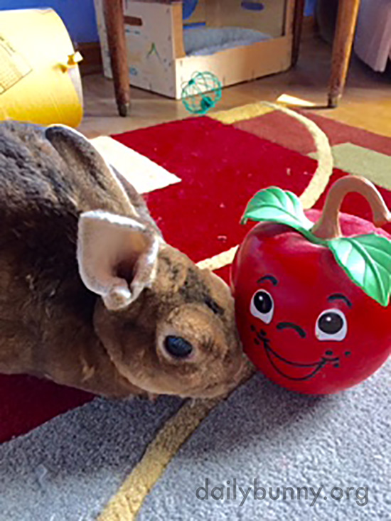 If This Is a Real Apple, I'll Never Ask for a Treat Again!