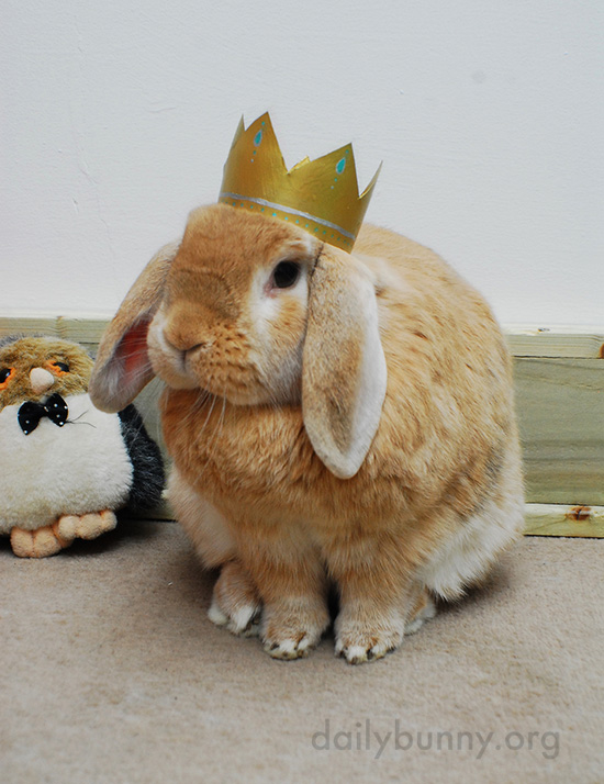 All Hail King and Queen Bunny! 7